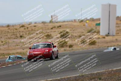 media/May-03-2025-Lucky Dog Racing (Sat) [[206de64b9d]]/Turn 6 (150pm-230pm)/